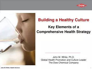 Building a Healthy Culture Key Elements of a Comprehensive Health Strategy