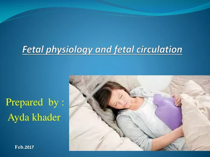 fetal physiology and fetal circulation