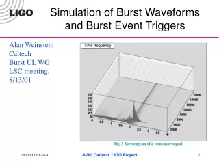 Simulation of Burst Waveforms and Burst Event Triggers