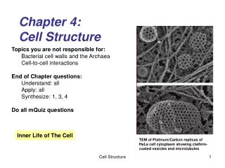 Chapter 4: Cell Structure