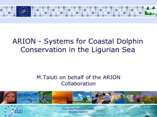 ARION - Systems for Coastal Dolphin Conservation in the Ligurian Sea