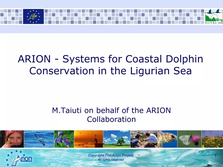 arion systems for coastal dolphin conservation in the ligurian sea