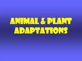 Animal &amp; Plant adaptations