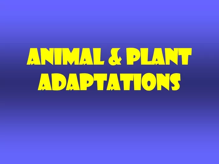 animal plant adaptations