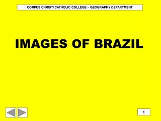 IMAGES OF BRAZIL