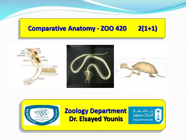 comparative anatomy zoo 420 2 1 1