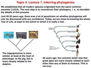 Topic 4. Lecture 7. Inferring phylogenies