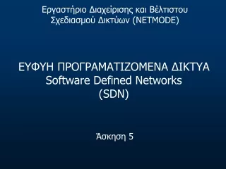 ΕΥΦΥΗ ΠΡΟΓΡΑΜΑΤΙΖΟΜΕΝΑ ΔΙΚΤΥΑ Software Defined Networks (SDN)
