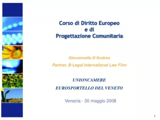 Corso di Diritto Europeo  e di  Progettazione Comunitaria
