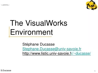 The VisualWorks Environment