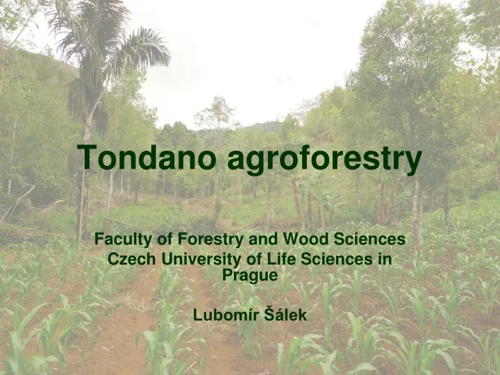 tondano agroforestry