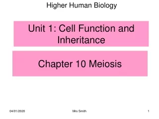 Chapter 10 Meiosis