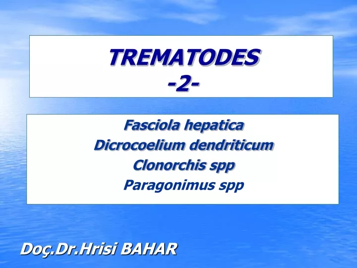 trematodes 2