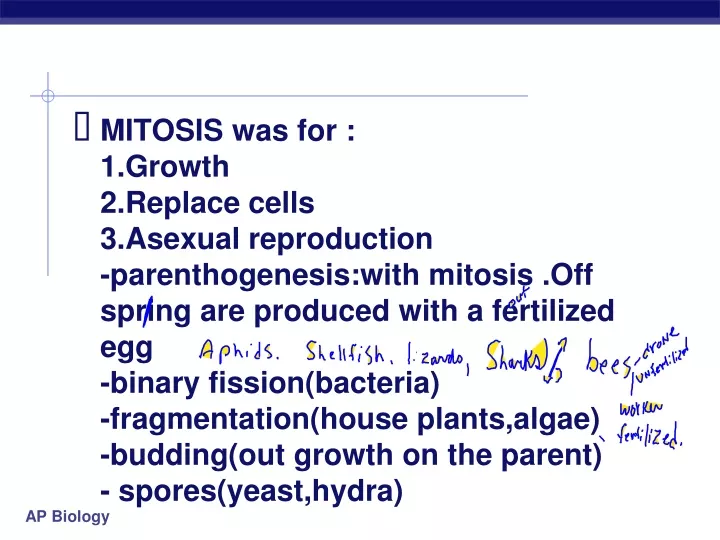 mitosis was for 1 growth 2 replace cells