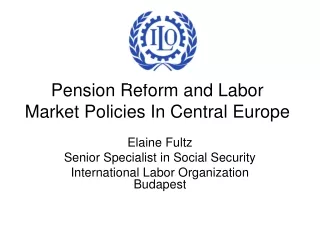 Pension Reform and Labor Market Policies In Central Europe