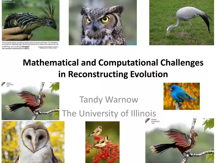 mathematical and computational challenges in reconstructing evolution