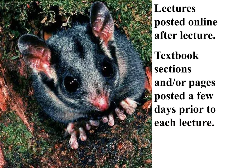 lectures posted online after lecture textbook