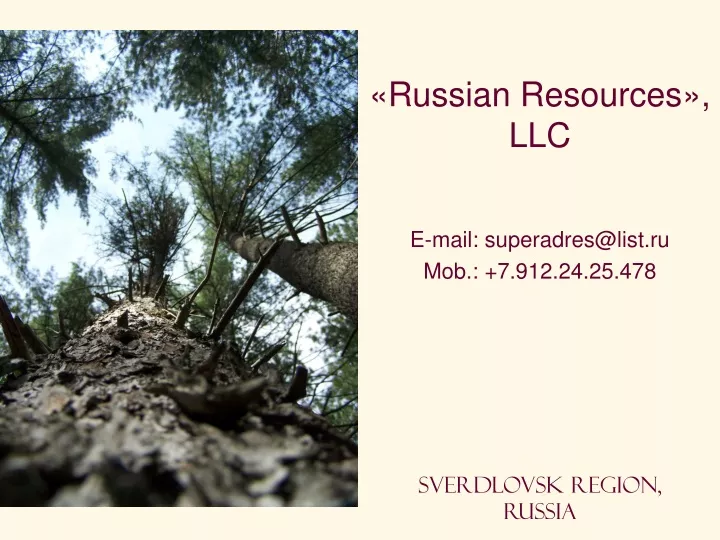 russian resources llc