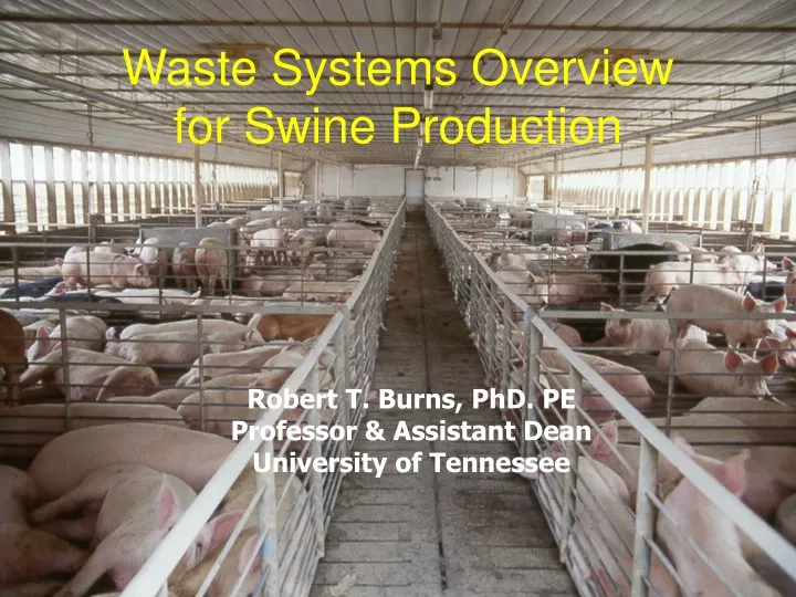 waste systems overview for swine production