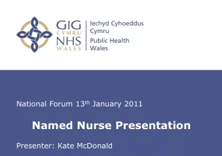 Named Nurse Presentation