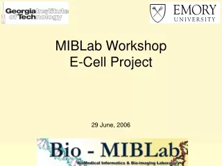 MIBLab Workshop E-Cell Project