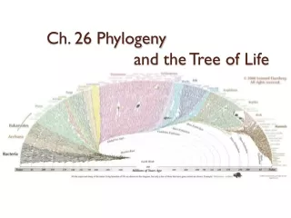 Ch. 26 Phylogeny  		and the Tree of Life