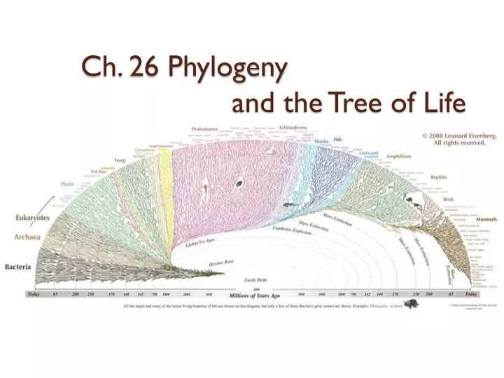 ch 26 phylogeny and the tree of life