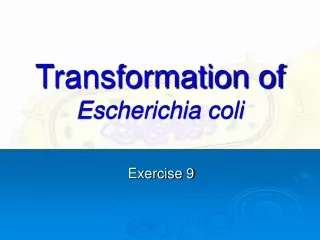Transformation of  Escherichia coli