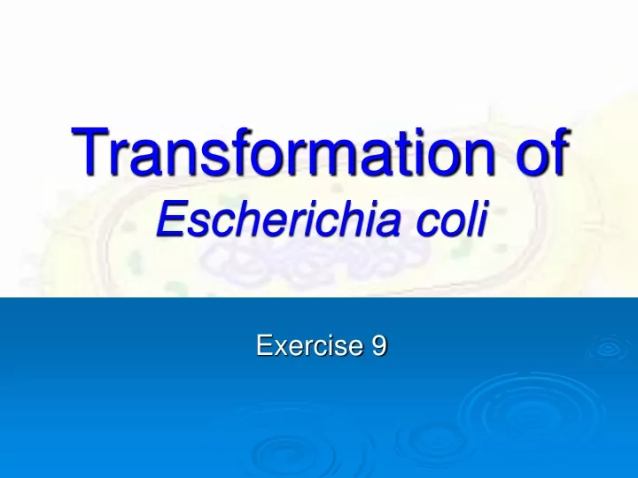 transformation of escherichia coli