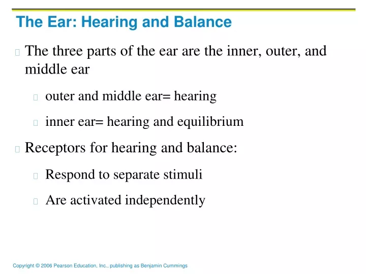 the ear hearing and balance