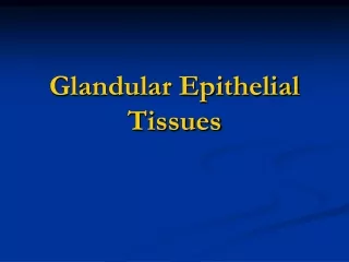 Glandular Epithelial Tissues