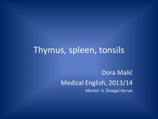 Thymus, spleen, tonsils