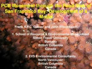 PCB Movement through the Food-Web of San Francisco Bay: Development of a Model