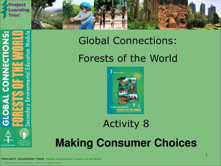 global connections forests of the world