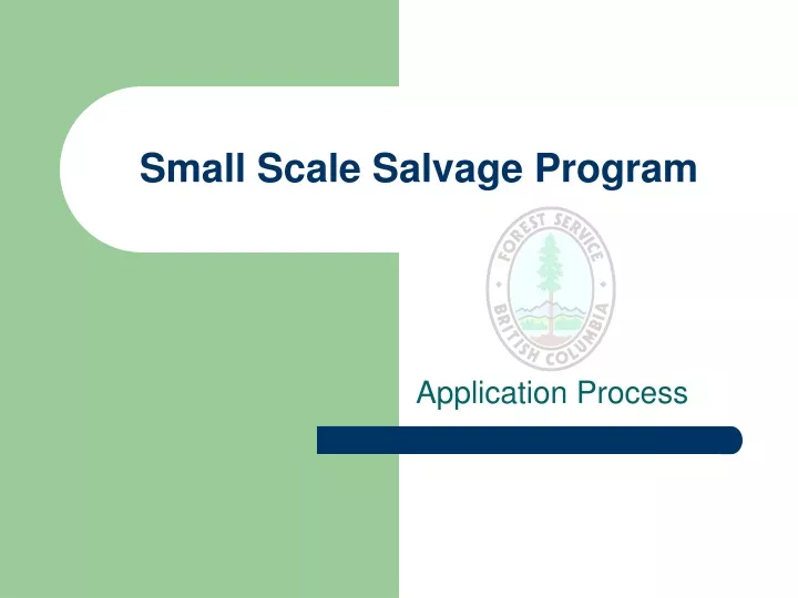 small scale salvage program