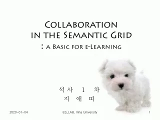Collaboration  in the Semantic Grid :  a Basic for e-Learning