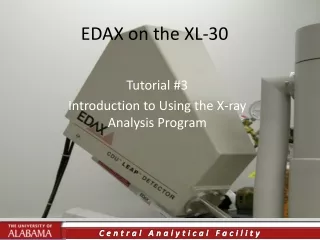 EDAX on the XL-30