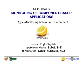 MSc Thesis MONITORING OF COMPONENT-BASED APPLICATIONS