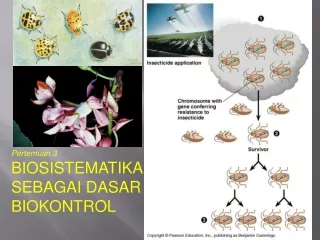 Pertemuan  3 BIOSISTEMATIKA SEBAGAI DASAR BIOKONTROL