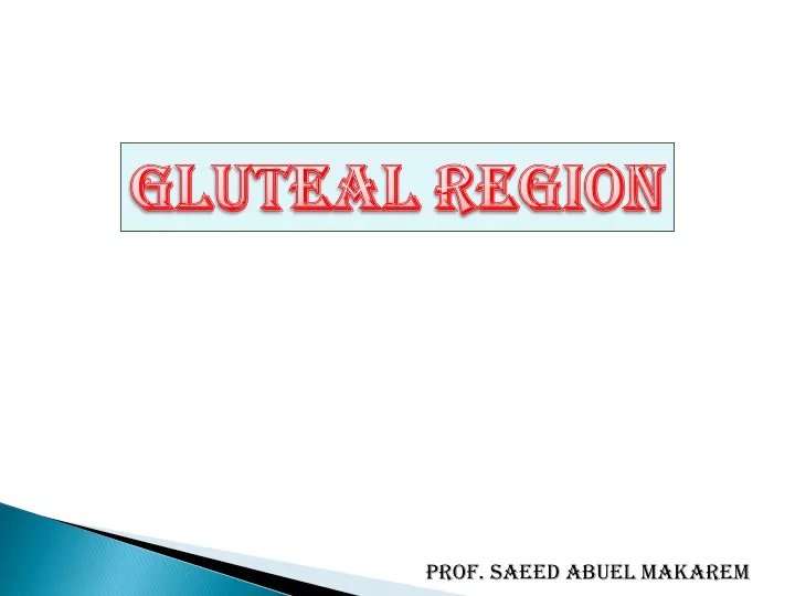 gluteal region