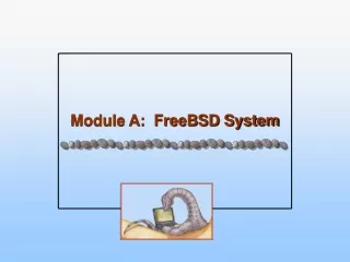 Module A:  FreeBSD System