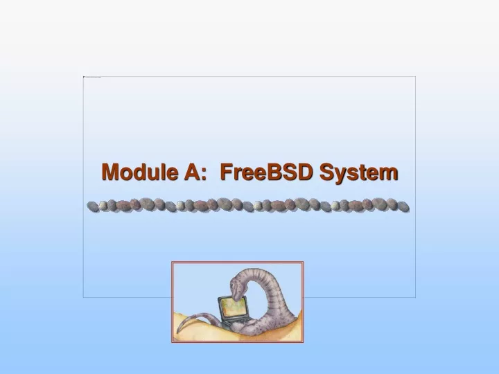 module a freebsd system