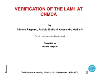 VERIFICATION OF THE LAMI  AT CNMCA