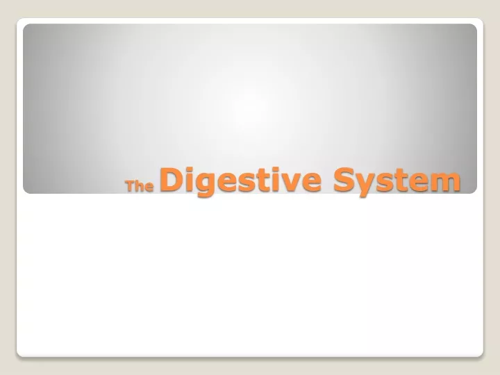 the digestive system