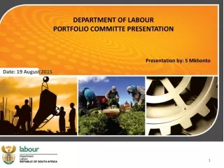 DEPARTMENT OF LABOUR  PORTFOLIO COMMITTE PRESENTATION Presentation by: S Mkhonto