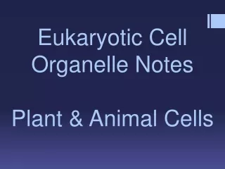 Eukaryotic Cell  Organelle Notes Plant &amp; Animal Cells