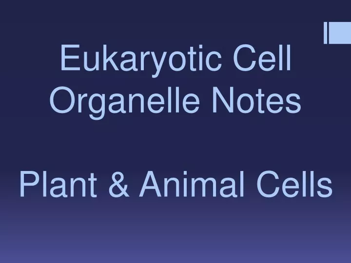 eukaryotic cell organelle notes plant animal cells