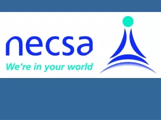 Development of NECSA The Research Era