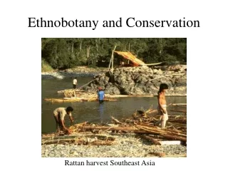 Ethnobotany and Conservation