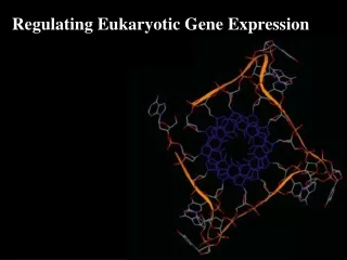 Regulating Eukaryotic Gene Expression